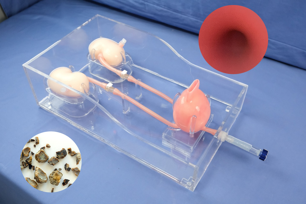 1.泌尿镜模型Space款（型号：UTM01).png