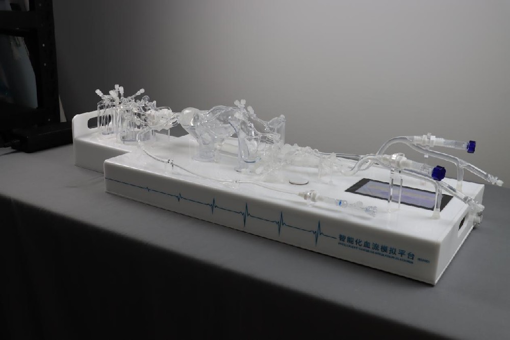 解锁脑血管诊疗新维度：3D 打印硅胶血管模型的革命性突破
